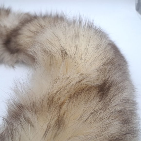 Vintage Wolf or Coyote Fur Stole - Picture 8 of 11